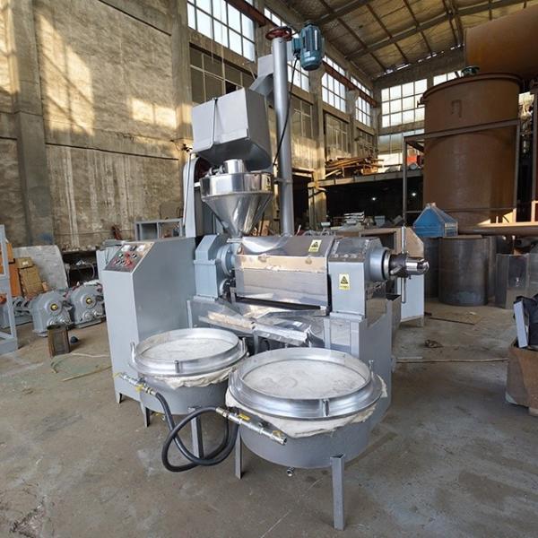 Avocado Edible Oil Press Machine , Sunflower Oil Press Machine Integrated