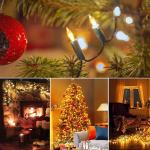 18ft 50 LED Green Wire Christmas Light Warm White Lights for Indoor Outdoor