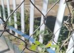 Horizontal SUS316 Wire Rope Trellis 200x200mm 3.2mm Steel Wire For Climbing