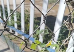 Wholesale Horizontal SUS316 Wire Rope Trellis 200x200mm 3.2mm Steel Wire For Climbing Plants from china suppliers
