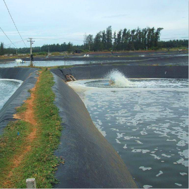 Smooth Pond Liner HDPE Geomembrane 1mm for Fish Farming in Environmental Applications
