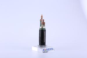 Wholesale NH-YJV LSOH Cables 0.6KV High Temperature Resistance Low Voltage Underground Cable from china suppliers