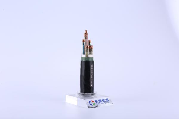 NH-YJV LSOH Cables 0.6KV High Temperature Resistance Low Voltage Underground