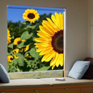 Wholesale Thermal Insulated 3d Blinds For Windows SASU Approved waterproof Fabrics from china suppliers
