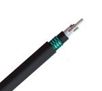 GYTA53 GYTY53 Singlemode Outdoor Fiber Optic Cable Direct Buried 36 Fibres DJSA