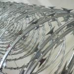 Manufacturers direct selling Welded Razor Mesh Hot Dipped Galvanized Barbed Wire