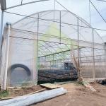 Wind Resistant Plastic PE Film Commercial Poly Tunnel Greenhouse For Planting