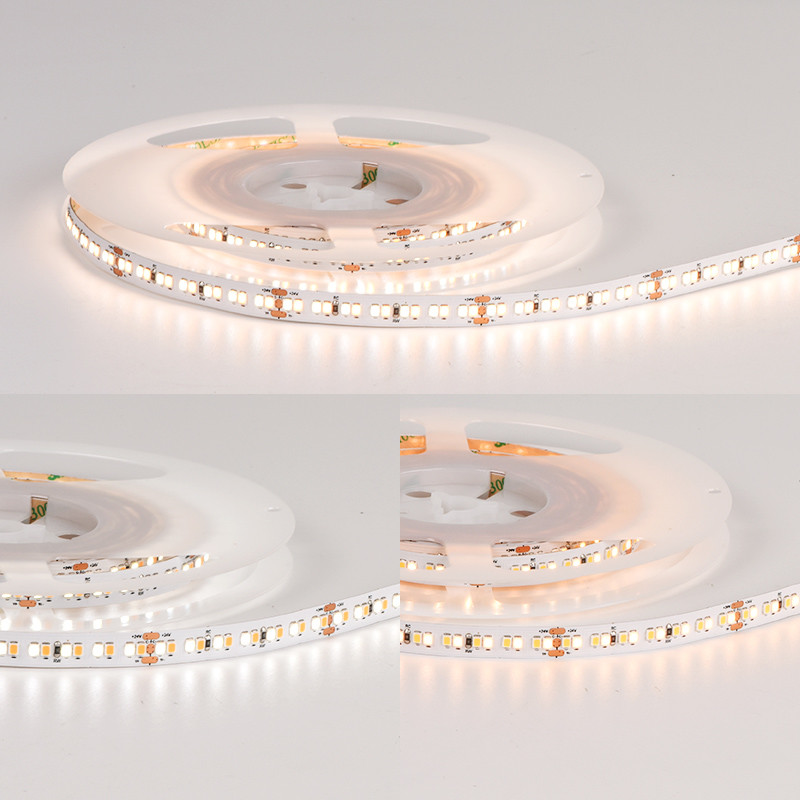 Tunable Dual White CCT Adjustable Led Smd 2835 224LEDs/M LED Flexible Strip Light