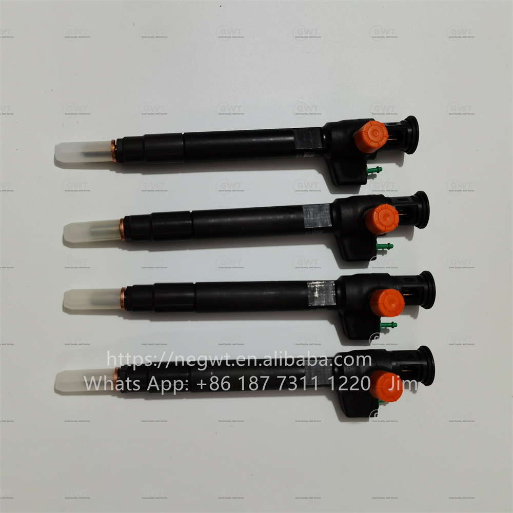 Common DELPHI Diesel Fuel Injectors 9674984080 DS7Q-9F593-BB 28319895 28388960 28602948