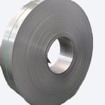 DIN 2507 Stainless Steel Strip Spring 19mm Flat Used In Food Vessel