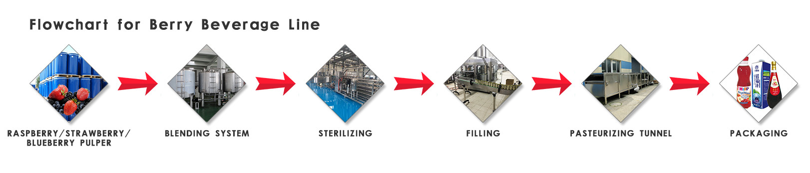 Stainless Steel 304 440V 25T/H Berry Processing Equipment