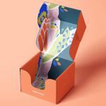 Biodegradable Corrugated Cardboard Paper Gift Packaging Airplane Paper Box L*W*H