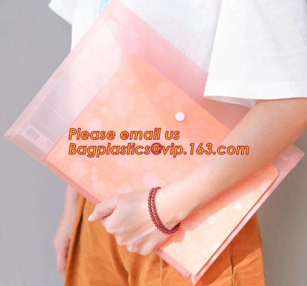 Promotional plastic PP waterproof paper files folder a4, Stylish PP a4 file