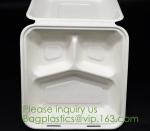 Biodegradable, Sugar Cane, Sugarcane Bamboo Pulp, Bento Box, Bagasse Food