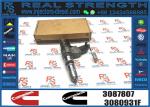 N14 Common Rail Fuel Injector 4307516N 3411767T 3407776 3087807 341176