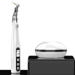 COXO White Root Canal Endo Motor 125rpm-625rpm Cordless Endomotor