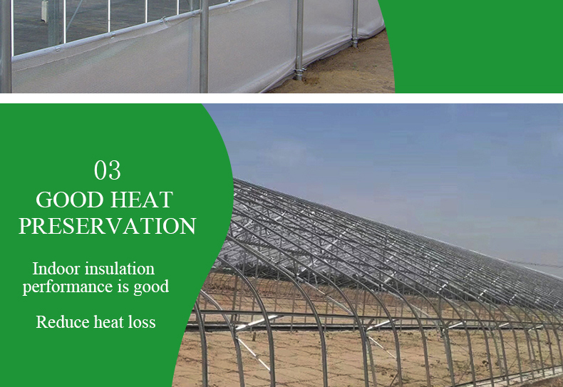 Single Layer PO Commercial Multi Span Polycarbonate Sheet Greenhouse for Agriculture