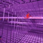 6 Tiers Automatic Quail Raising Equipment H Type 20 Years Long Lifespan