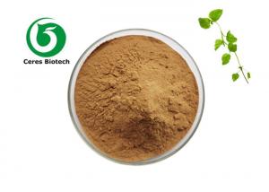 Wholesale Pure Melissa Officinalis Extract Powder Food Grade For Health Care from china suppliers
