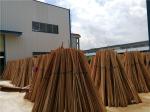Floor Eucalyptus Wood 1200mm Wooden Mop Handles