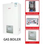 L1PB40-A(F4) 40Kw Heating Bathing Gas Boiler Wall Mounted Stainless Steel Shell