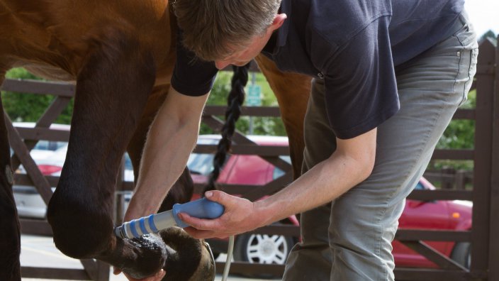 High energy shock wave therapy machine veterinary shock wave therapy machine for racehorse