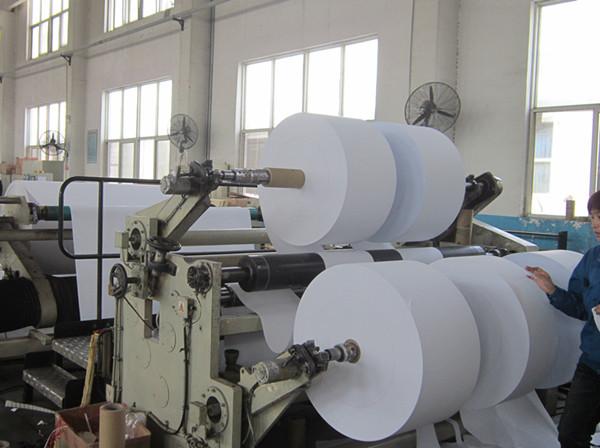 Customized Printer Thermal Label Jumbo Roll Bpa Free