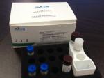 Infectious disease diagnostic kit for closed chemiluminescent immunoassay