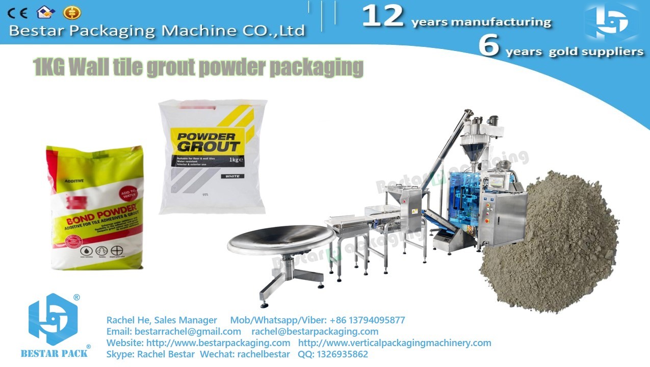 1KG Wall putty powder packaging machine, Wall tile grout powder packing machine BSTV-450DZ