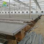 ABS Hydroponic Greenhouse Rolling Benches 70cm Height Plant Nursery Benches