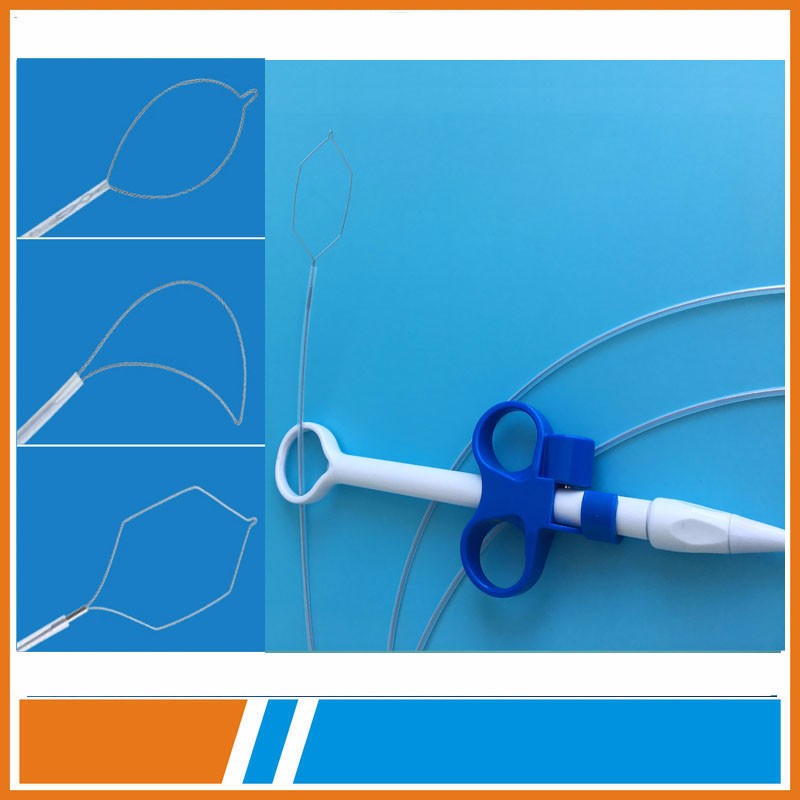 Single use Polypectomy Snares of endocopic instruments