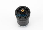 W02-358-7206 Cab Air Shock Absorber For Freightliner OEM 18-29919-000