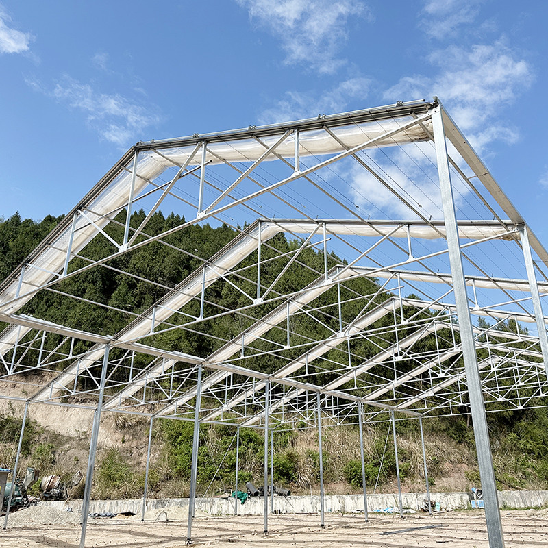 Single Layer Stable Structure Poly Tunnel Greenhouse for Agricultural Retractable Film Automated