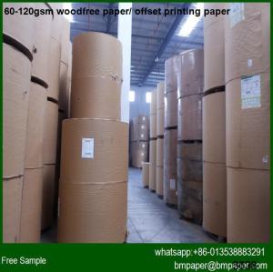 Wholesale Bright Color Woodfree Offset Paper A4 Size from china suppliers