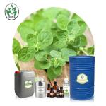 Cas 8007 11 2 Wild Oregano oil organic 100% pure natural bulk With High
