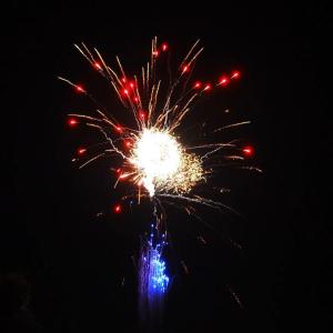 Wholesale Hunan Liuyang Mandarin Fireworks 300 Shots Paper Tube New Year Celebration 1.4 Pro Fireworks Wholesale US Pyrotechnics from china suppliers