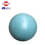 Customized Logo Anti Burst Gym Ball For Fitness Environmentally Friendly