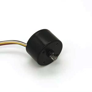 Wholesale Customized High Torque Bldc Motor 24Mm For Electrical Appliance from china suppliers