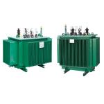 250kVA 11kv Oil Immersed Power Transformer