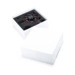 V8010 EEE V1.0 Brushless DC Motor