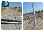 Durable Galvanized Steel Vineyard End Posts 2.5MM Thick 2.7M Height Round Pipe