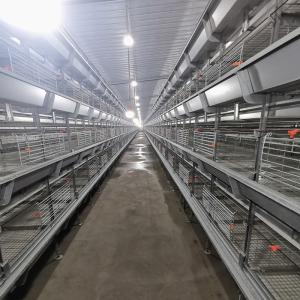 Wholesale H Type Automatic Poultry Cage For Chicken ，Broiler Cage from china suppliers