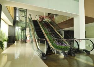 Wholesale Handrail VVVF Screw Driving 1000mm 30 Degree Outdoor Escalator from china suppliers
