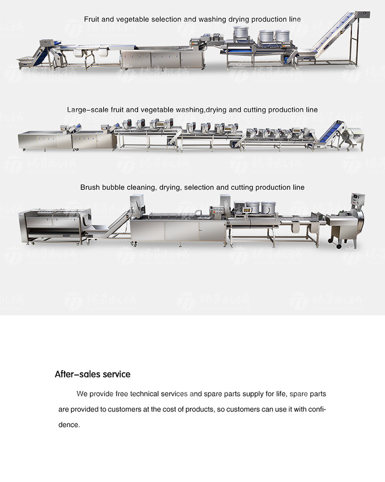Multifunctional Vegetable And Fruit Processing Line Hair Roller Bubble Cleaning Production Line