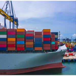 Wholesale DDP International Sea Freight Forwarding From China To Singapore from china suppliers