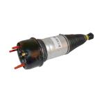 C2C41346 C2C41344 Jaguar XJR Rear Airmatic Air Suspension Shock