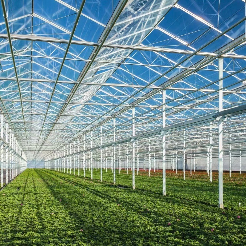 Glass Greenhouse for Vegetables or Flowers