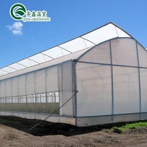 Wholesale Single Layer PO Commercial Multi Span Polycarbonate Sheet Greenhouse for Agriculture from china suppliers