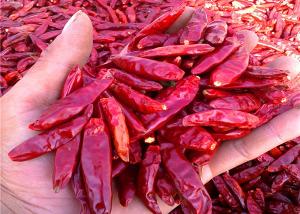 Wholesale Stemless Whole Dried Red Chilli Peppers 20000SHU Single Herbs from china suppliers