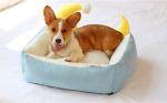 Eco - Friendly Comfort Pet Beds , Cute Pet Beds Fashionable 3 Colors Available
